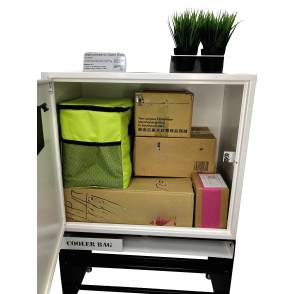 SG Smart Anti-theft Parcel Box - XXL